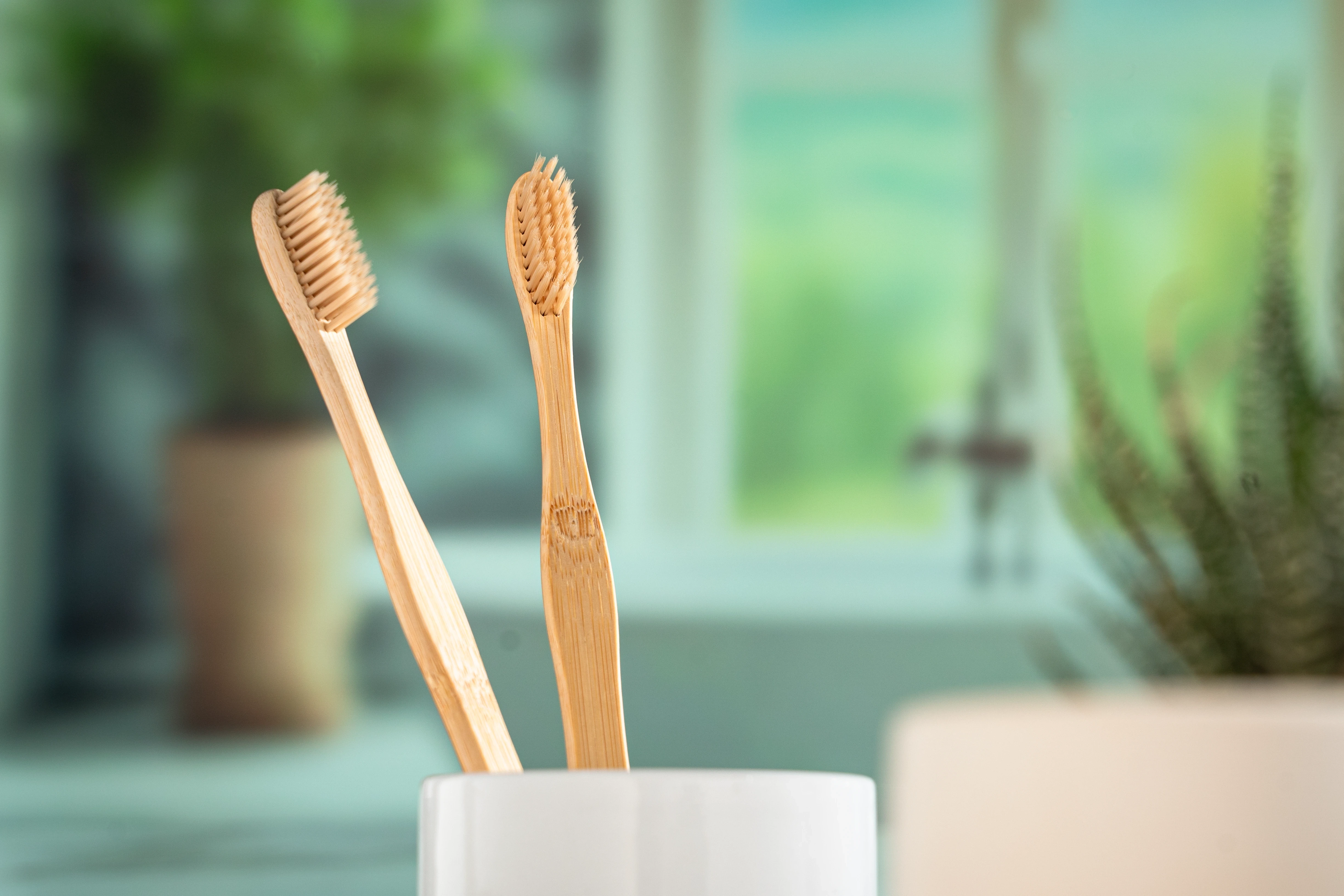 BamBrush Sustainable Products